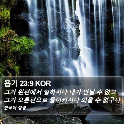 욥기 23:9 KOR Bible Verse Image