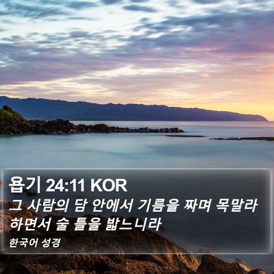 욥기 24:11 KOR Bible Verse Image