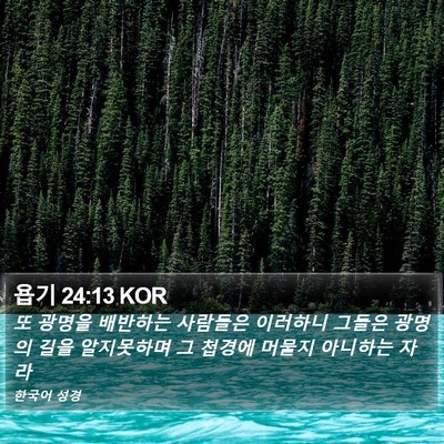 욥기 24:13 KOR Bible Verse Image