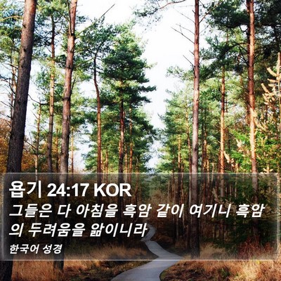 욥기 24:17 KOR Bible Verse Image