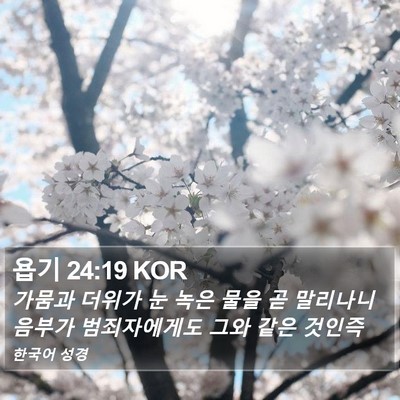 욥기 24:19 KOR Bible Verse Image