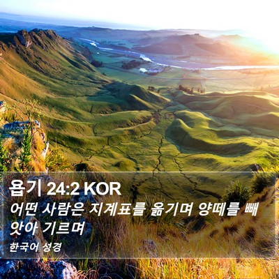 욥기 24:2 KOR Bible Verse Image