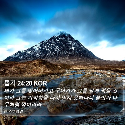 욥기 24:20 KOR Bible Verse Image