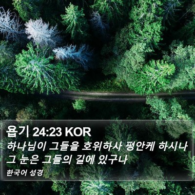 욥기 24:23 KOR Bible Verse Image