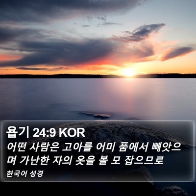 욥기 24:9 KOR Bible Verse Image