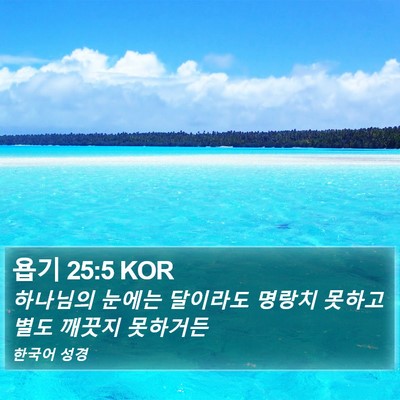 욥기 25:5 KOR Bible Verse Image