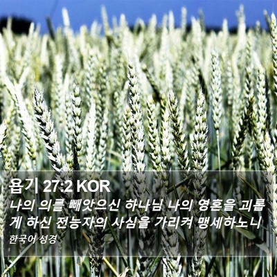 욥기 27:2 KOR Bible Verse Image