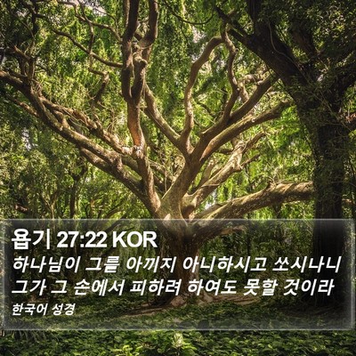 욥기 27:22 KOR Bible Verse Image