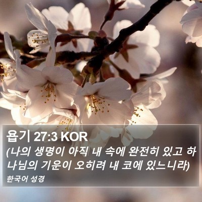 욥기 27:3 KOR Bible Verse Image