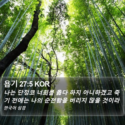 욥기 27:5 KOR Bible Verse Image