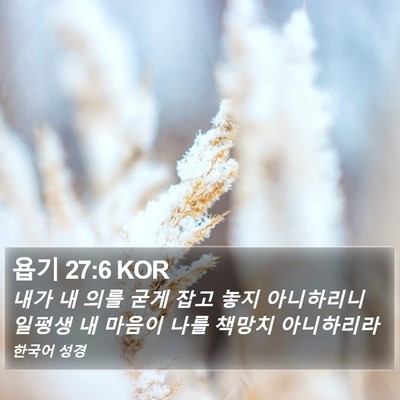욥기 27:6 KOR Bible Verse Image