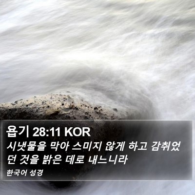 욥기 28:11 KOR Bible Verse Image