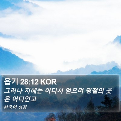 욥기 28:12 KOR Bible Verse Image