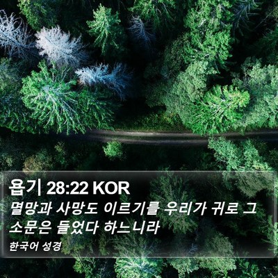 욥기 28:22 KOR Bible Verse Image