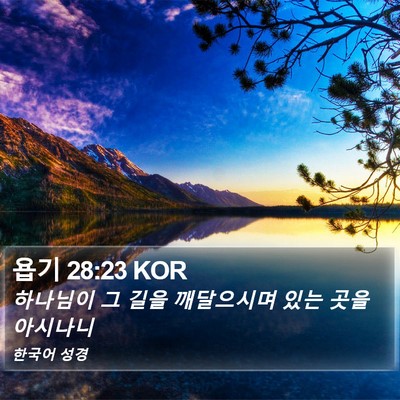 욥기 28:23 KOR Bible Verse Image