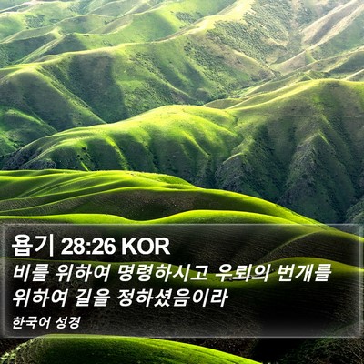 욥기 28:26 KOR Bible Verse Image