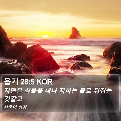 욥기 28:5 KOR Bible Verse Image