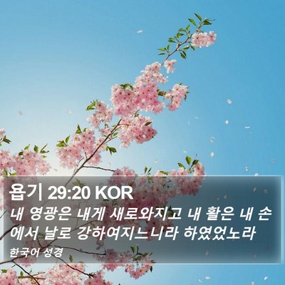 욥기 29:20 KOR Bible Verse Image