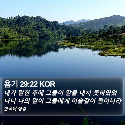 욥기 29:22 KOR Bible Verse Image