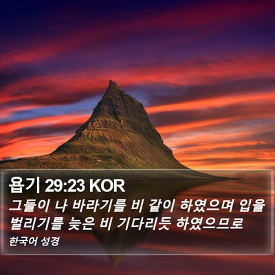 욥기 29:23 KOR Bible Verse Image