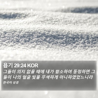욥기 29:24 KOR Bible Verse Image