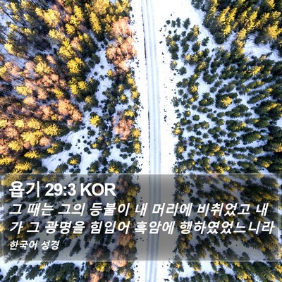 욥기 29:3 KOR Bible Verse Image