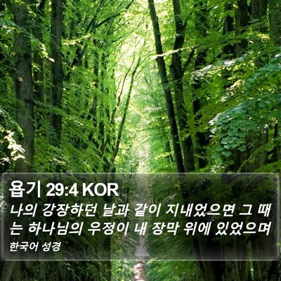 욥기 29:4 KOR Bible Verse Image