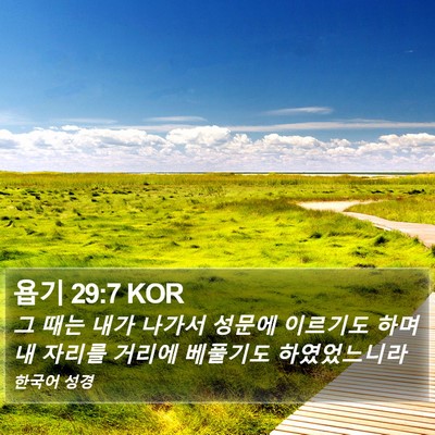 욥기 29:7 KOR Bible Verse Image