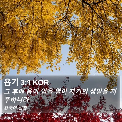 욥기 3:1 KOR Bible Verse Image