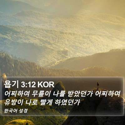 욥기 3:12 KOR Bible Verse Image