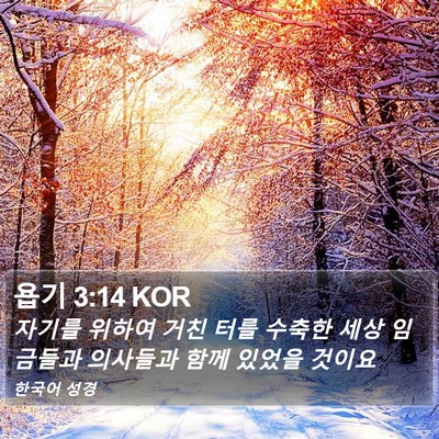 욥기 3:14 KOR Bible Verse Image