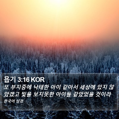 욥기 3:16 KOR Bible Verse Image