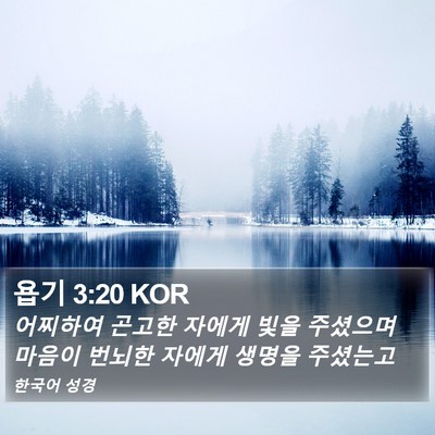 욥기 3:20 KOR Bible Verse Image