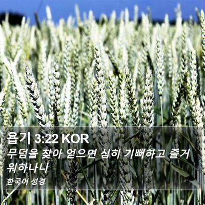 욥기 3:22 KOR Bible Verse Image