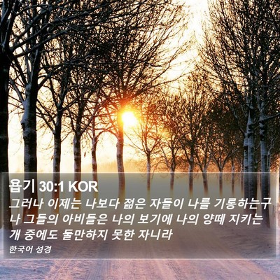욥기 30:1 KOR Bible Verse Image