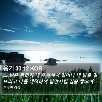 욥기 30:12 KOR Bible Verse Image