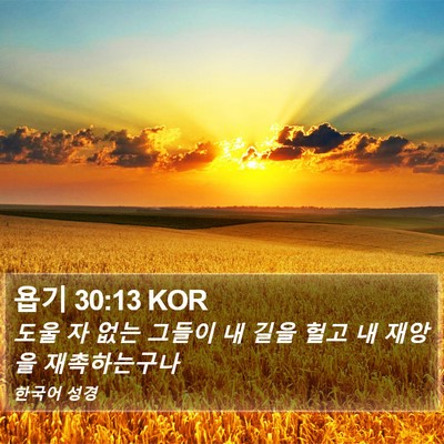 욥기 30:13 KOR Bible Verse Image