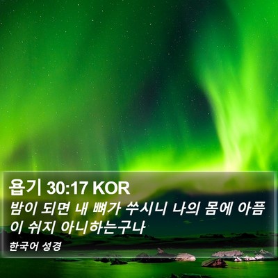 욥기 30:17 KOR Bible Verse Image