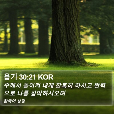욥기 30:21 KOR Bible Verse Image