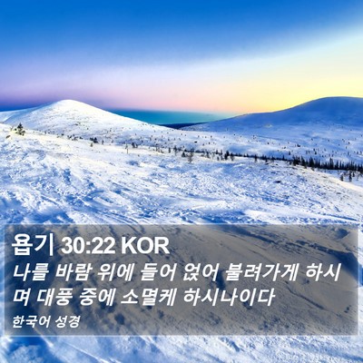 욥기 30:22 KOR Bible Verse Image