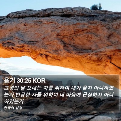 욥기 30:25 KOR Bible Verse Image