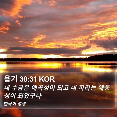 욥기 30:31 KOR Bible Verse Image