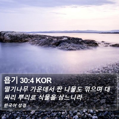 욥기 30:4 KOR Bible Verse Image