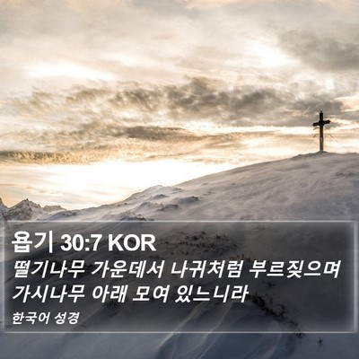욥기 30:7 KOR Bible Verse Image