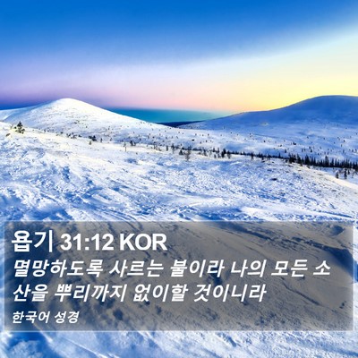 욥기 31:12 KOR Bible Verse Image