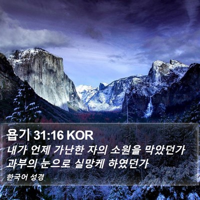 욥기 31:16 KOR Bible Verse Image