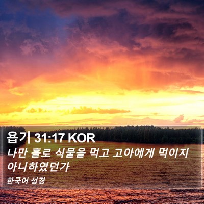 욥기 31:17 KOR Bible Verse Image