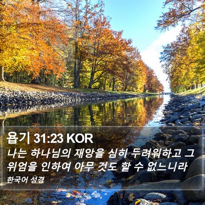 욥기 31:23 KOR Bible Verse Image