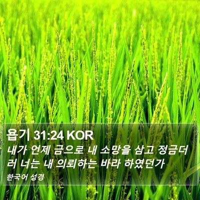 욥기 31:24 KOR Bible Verse Image