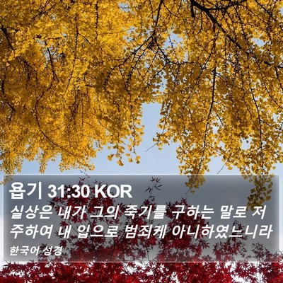 욥기 31:30 KOR Bible Verse Image